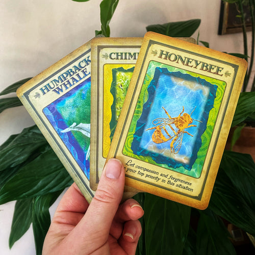 Animal Spirit Oracle Reading